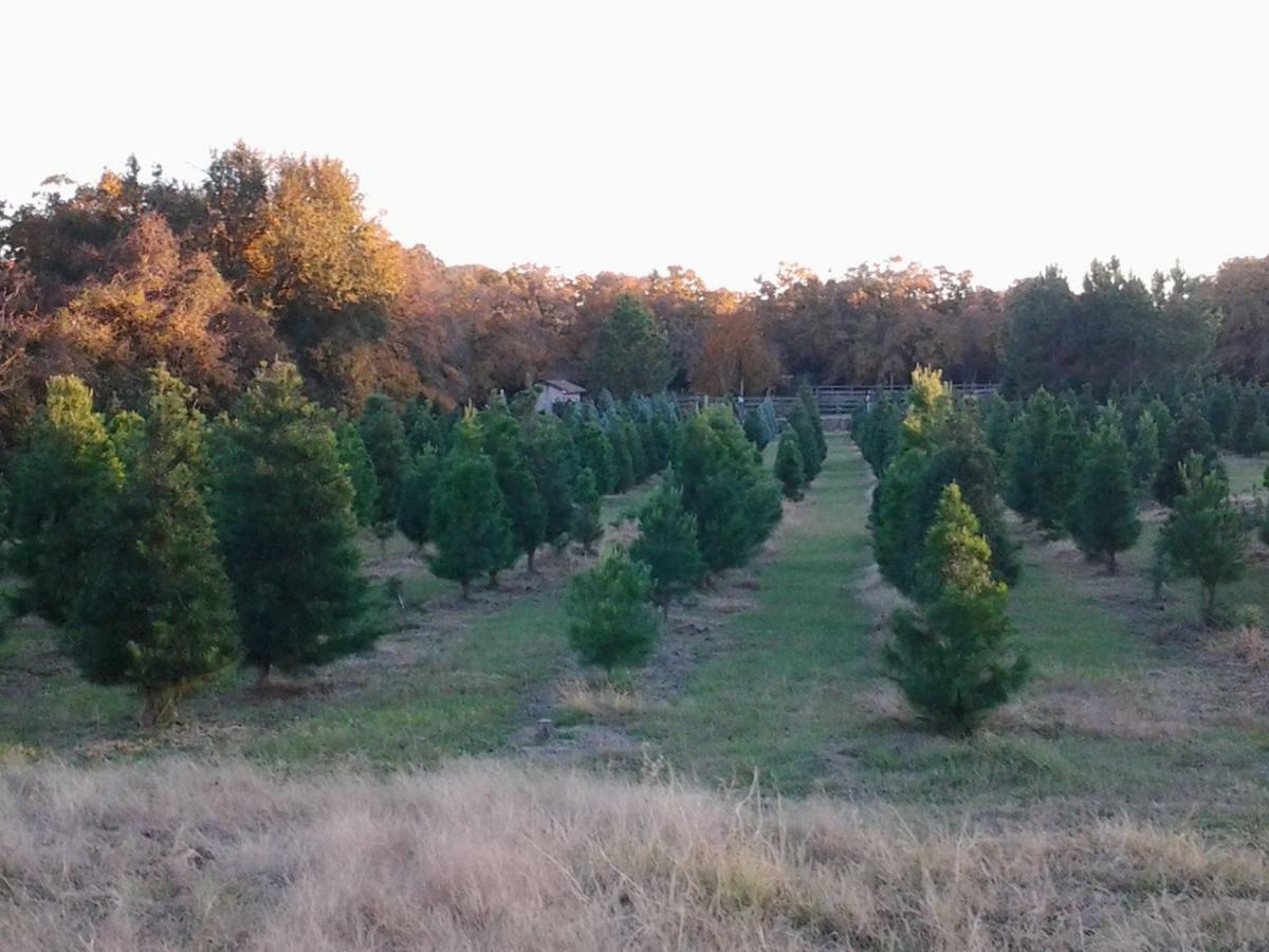Kelumac Christmas Tree Farm B&B Брайан Экстерьер фото